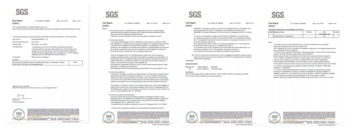 SGS Report